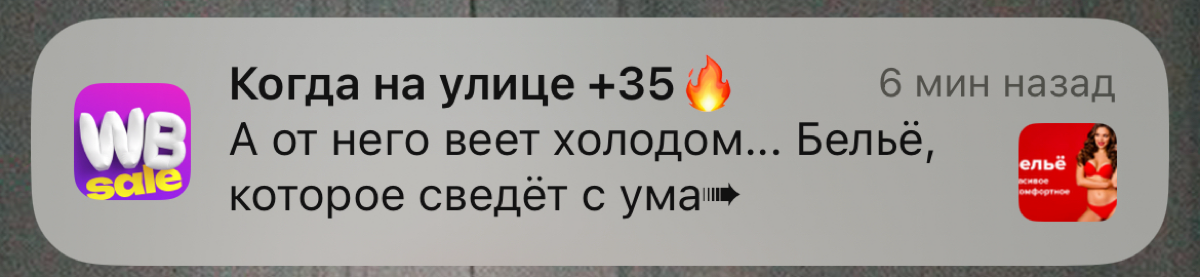 Ну, WB, ну креативщики 😅 | Сетка — социальная сеть от hh.ru