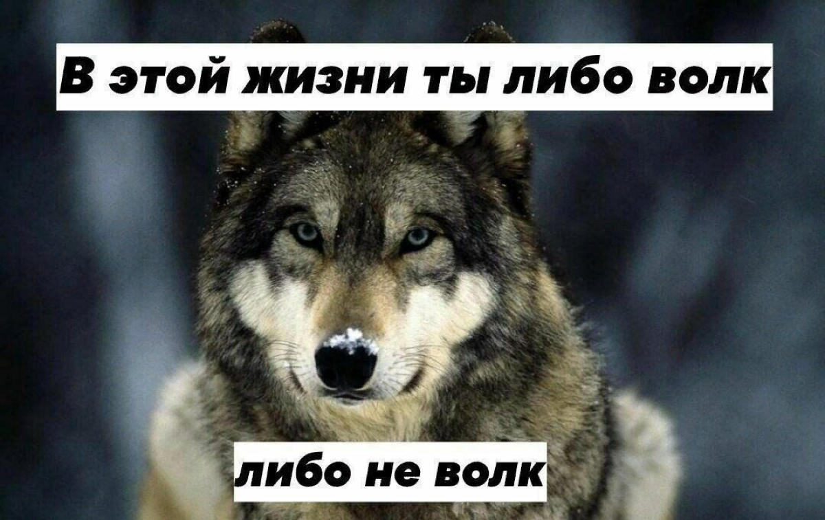 Самое обидное в диджитале, это отсутствие похвалы со стороны посторонних людей.
Буквально | Сетка — социальная сеть от hh.ru