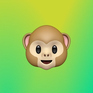 Илья Анд | Сетка — социальная сеть от hh.ru