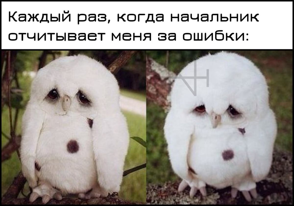 Про страх ошибиться | Сетка — социальная сеть от hh.ru