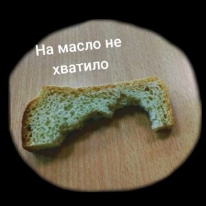 Алексей Плотников
