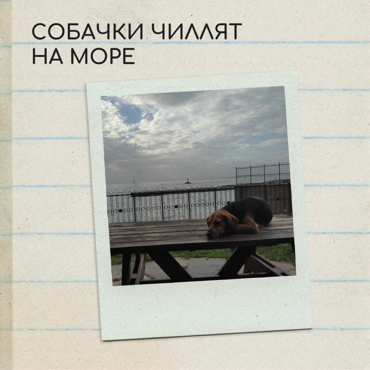 Представьте: подруга прислала фото из путешествия, но не написала, где она. Угадаете страну? Пишите ответы в комментариях.
Фото предоставила Дарья Аминова. | Сетка — социальная сеть от hh.ru