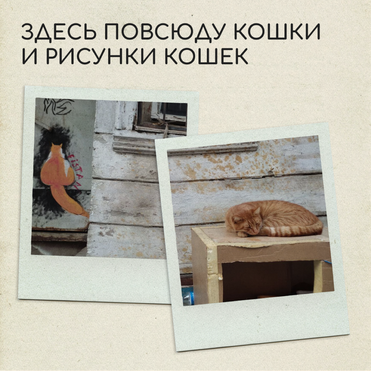 Представьте: подруга прислала фото из путешествия, но не написала, где она. Угадаете страну? Пишите ответы в комментариях.
Фото предоставила Дарья Аминова. | Сетка — социальная сеть от hh.ru