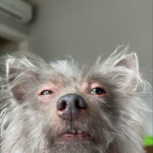 Дмитрий Сидунов | Сетка — социальная сеть от hh.ru