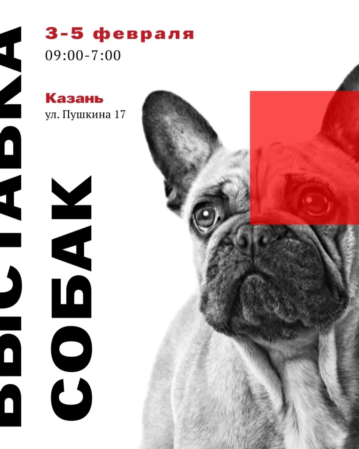 "Увлекательное путешествие в мир креативности и стиля! Заказывайте уникальные и запоминающиеся дизайны постеров и афиш, которые добавят яркости и оригинальности вашему мероприятию, бизнесу или интерье... | Сетка — социальная сеть от hh.ru