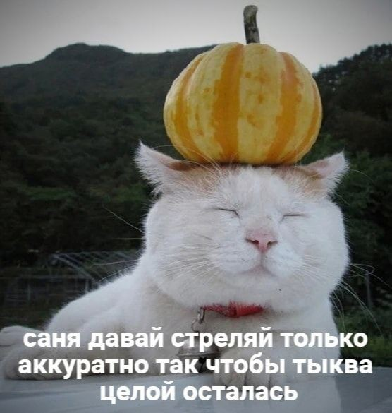 Конец среды | Сетка — социальная сеть от hh.ru