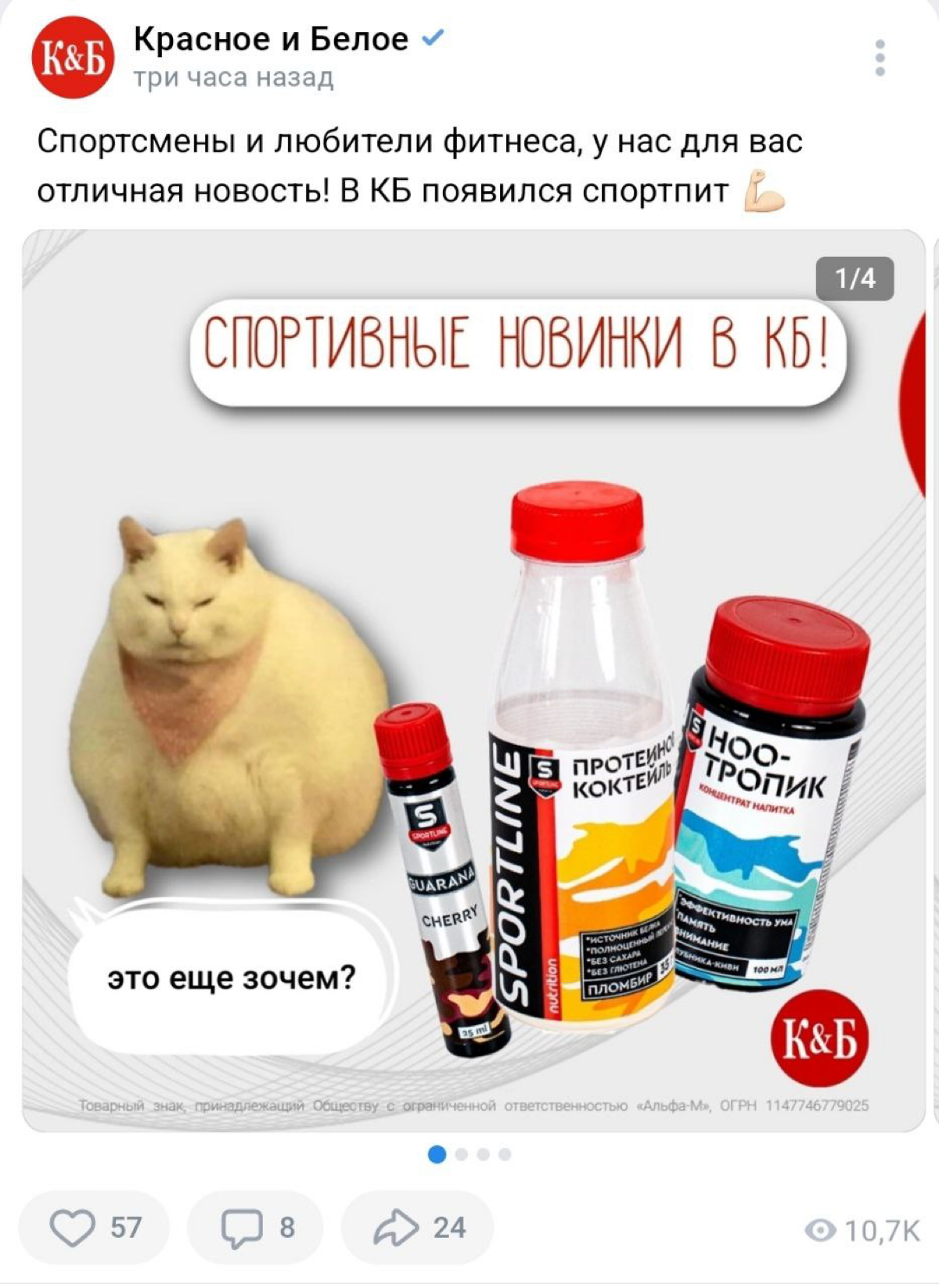 В КБ начали продавать спортивное питание и разные полезные добавки для работы мозга. Толстый кот прекрасно выражает реакцию на это.
— Я в КБ
— За изотоником?
— Почти | Сетка — социальная сеть от hh.ru