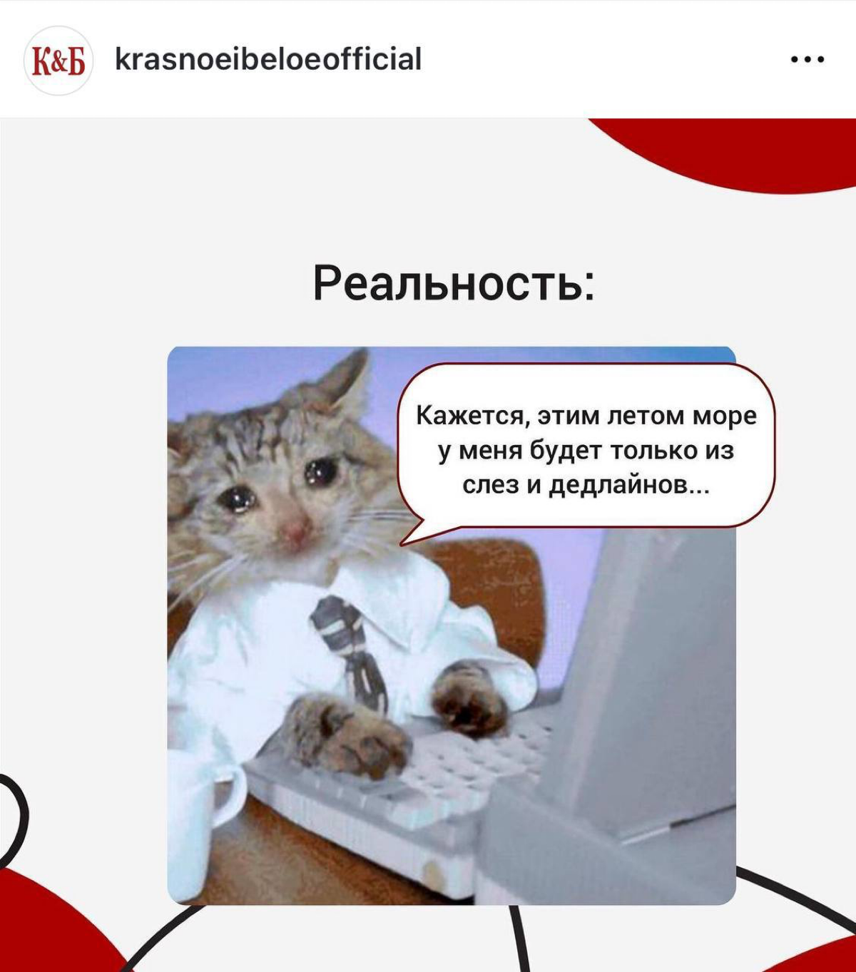 В КБ завезли спойлеры предстоящих отпусков.
Отправьте коллегам. | Сетка — социальная сеть от hh.ru