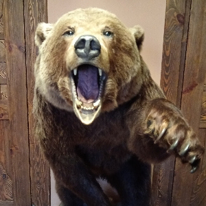 Евгений Иванов | Сетка — социальная сеть от hh.ru