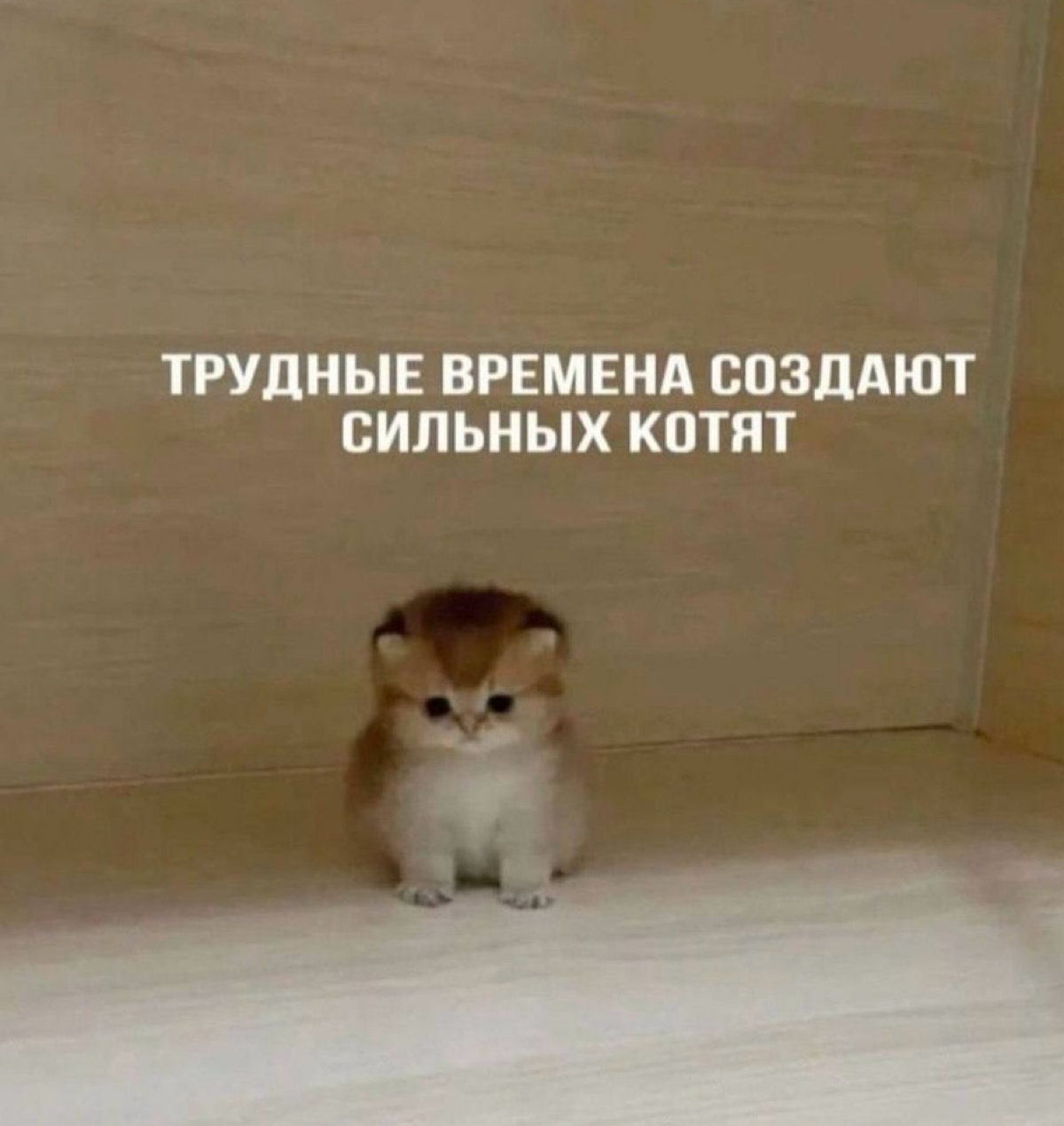 Как рассказать о своих достижениях на собеседовании?
Предлагаю сразу оттолкнуться от того, что вы уже прошли карьерную консультацию и в результате у вас есть отличное резюме, которое описывает ваш про... | Сетка — социальная сеть от hh.ru