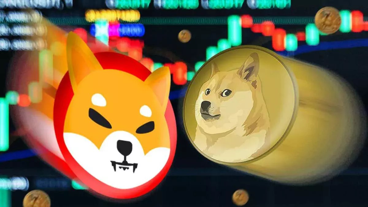 Криптобиржа BitMEX создала индекс 10 лучших токенов-мемов | Сетка — социальная сеть от hh.ru