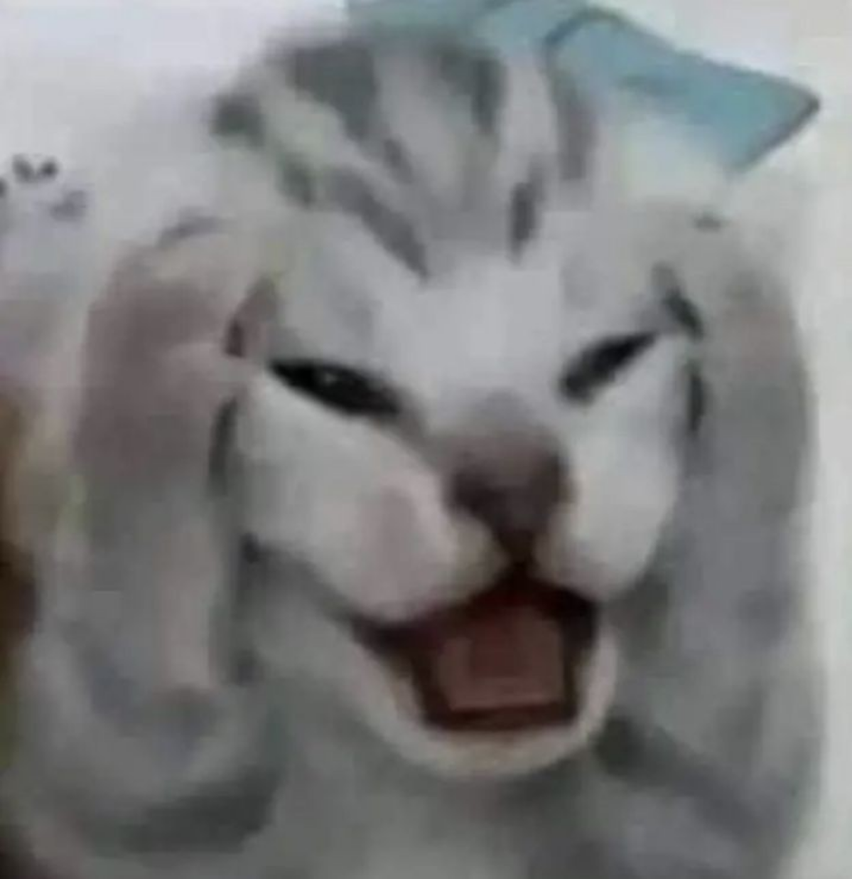 🌡️🌞Как вы спасаетесь от жары на работе? Получается ли вообще работать в полную силу?
В город пришла лютая жара🥴 Люблю удаленку, но в такие дни думаю, сейчас бы в офисе с кондеем сидеть🫠 Все плавится: ... | Сетка — социальная сеть от hh.ru