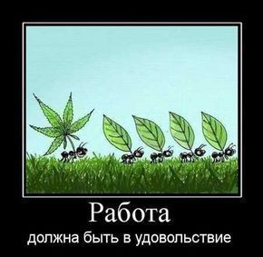 И не поспоришь🤣 | Сетка — социальная сеть от hh.ru