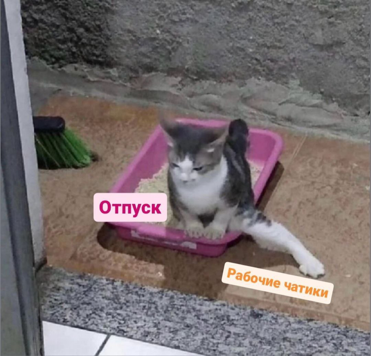 И это про меня 😎 | Сетка — социальная сеть от hh.ru