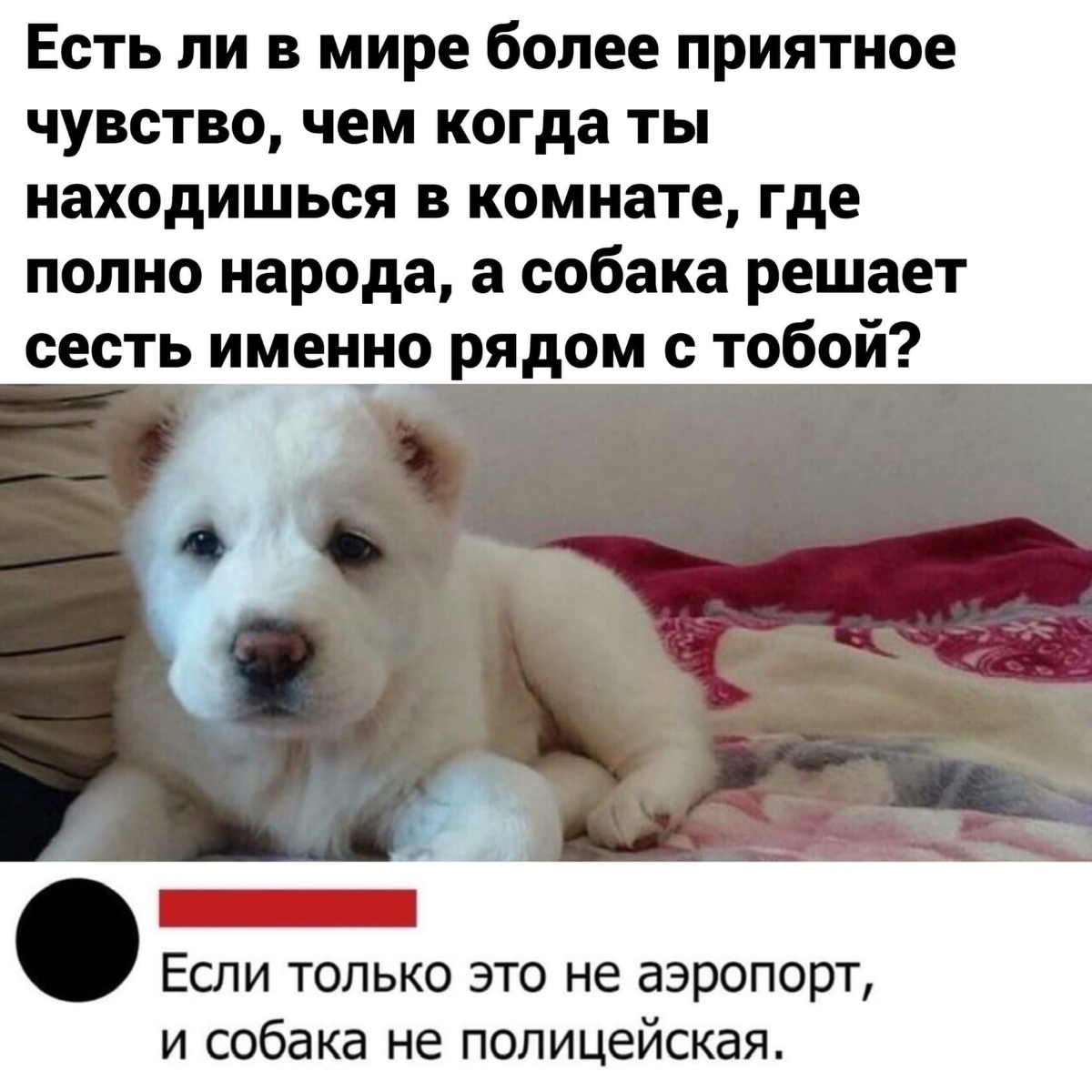 😀😀😀 | Сетка — социальная сеть от hh.ru