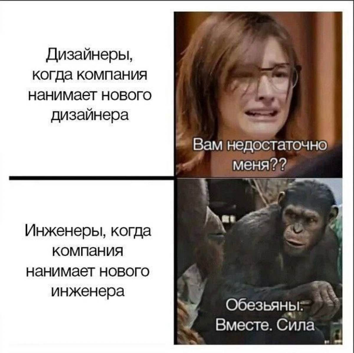 Сетка — социальная сеть от hh.ru