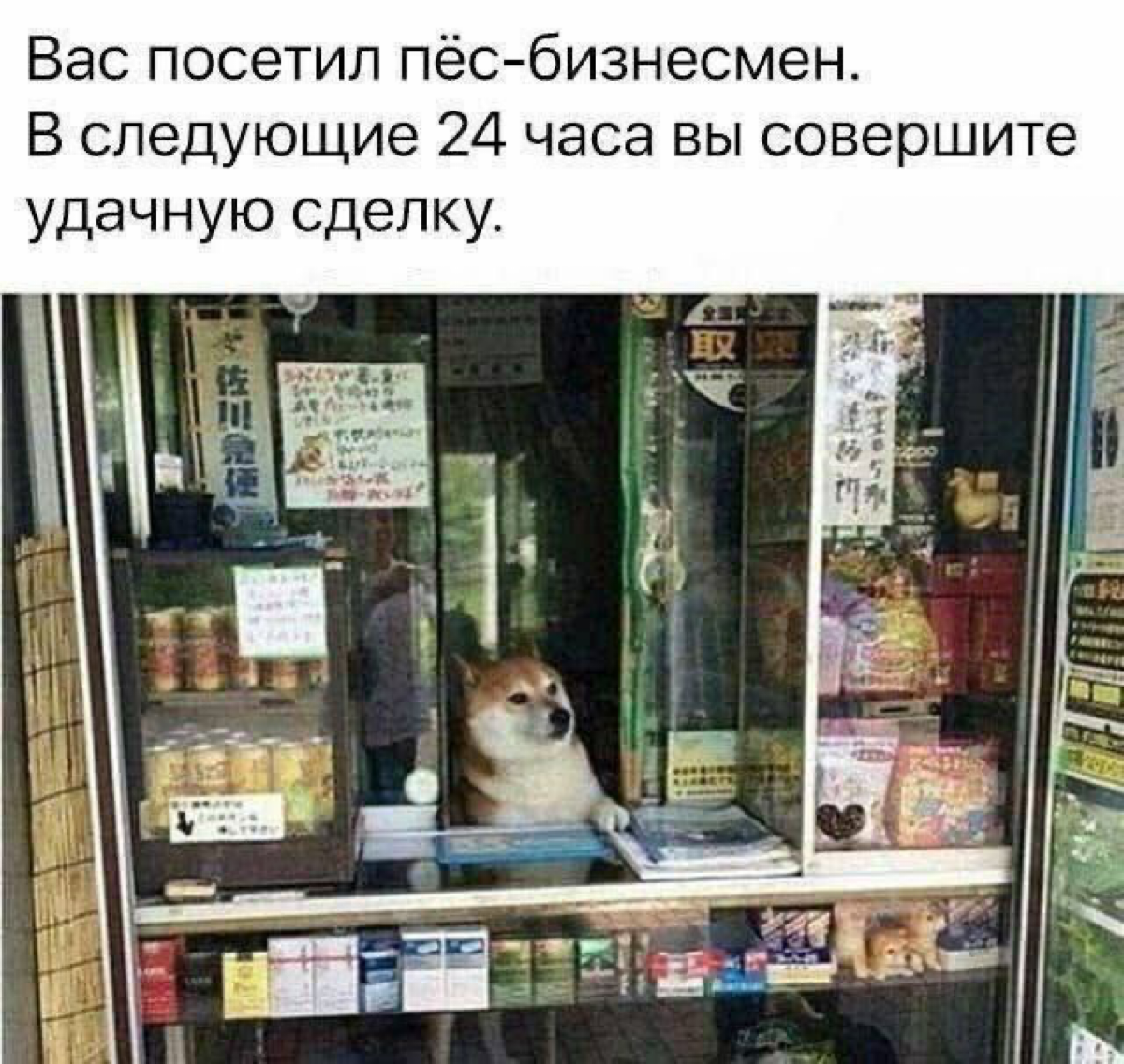 Сетка — социальная сеть от hh.ru