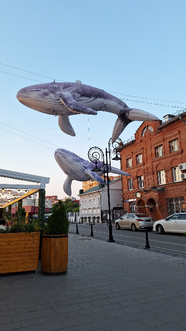 Сегодня в Ульяновске | Сетка — социальная сеть от hh.ru