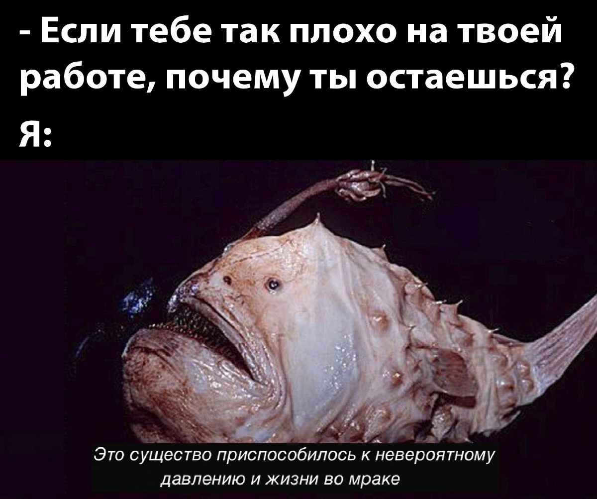 А как же ипотека? 😁 | Сетка — социальная сеть от hh.ru