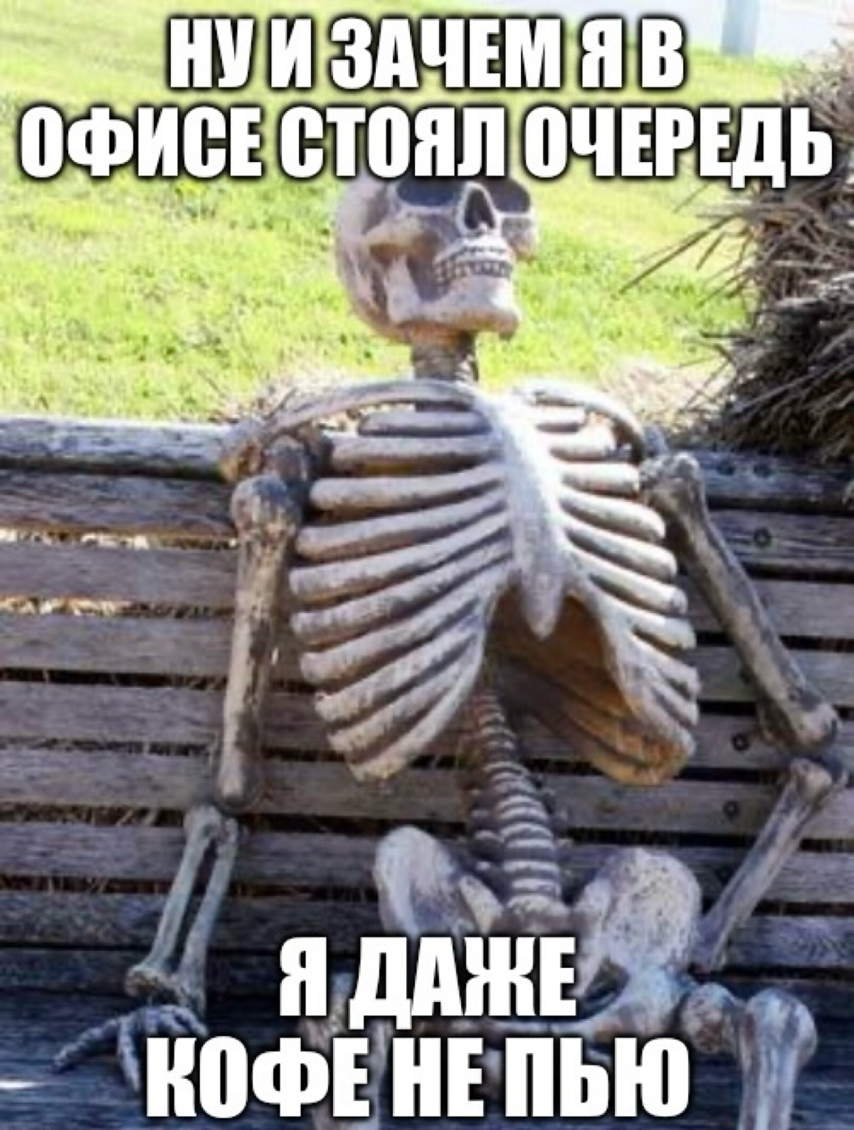 Я, кстати, не пью кофе уже около 2х лет, пытался заменять на хороший цикорий - тоже надоел. В итоге: казахский чай (с молоком) ТОП)) | Сетка — социальная сеть от hh.ru
