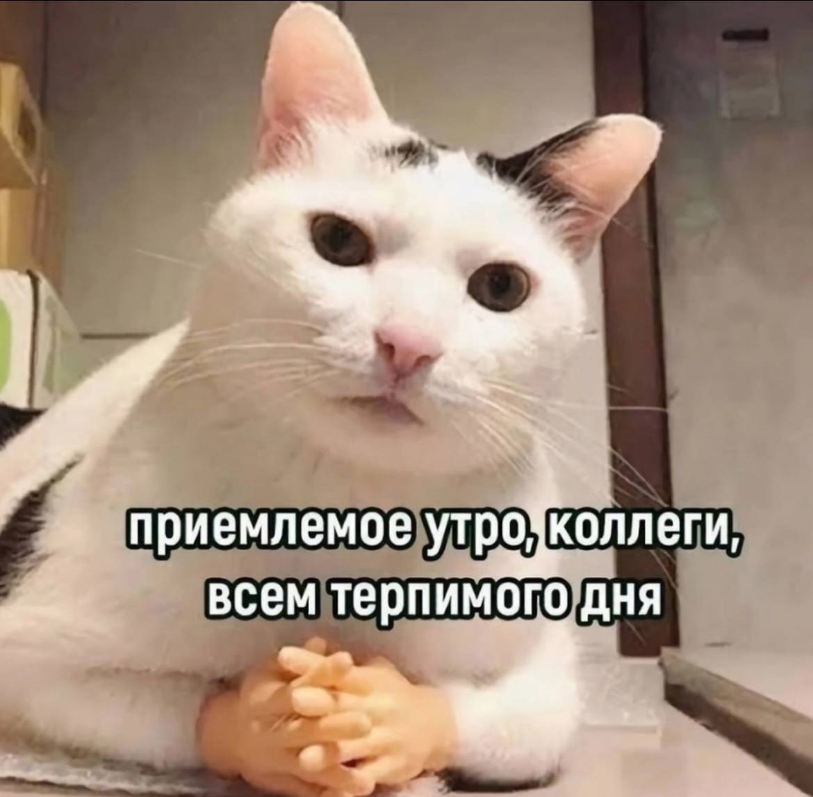 Между прочим, сегодня день трудоголика.
С пятницей❤️ | Сетка — социальная сеть от hh.ru