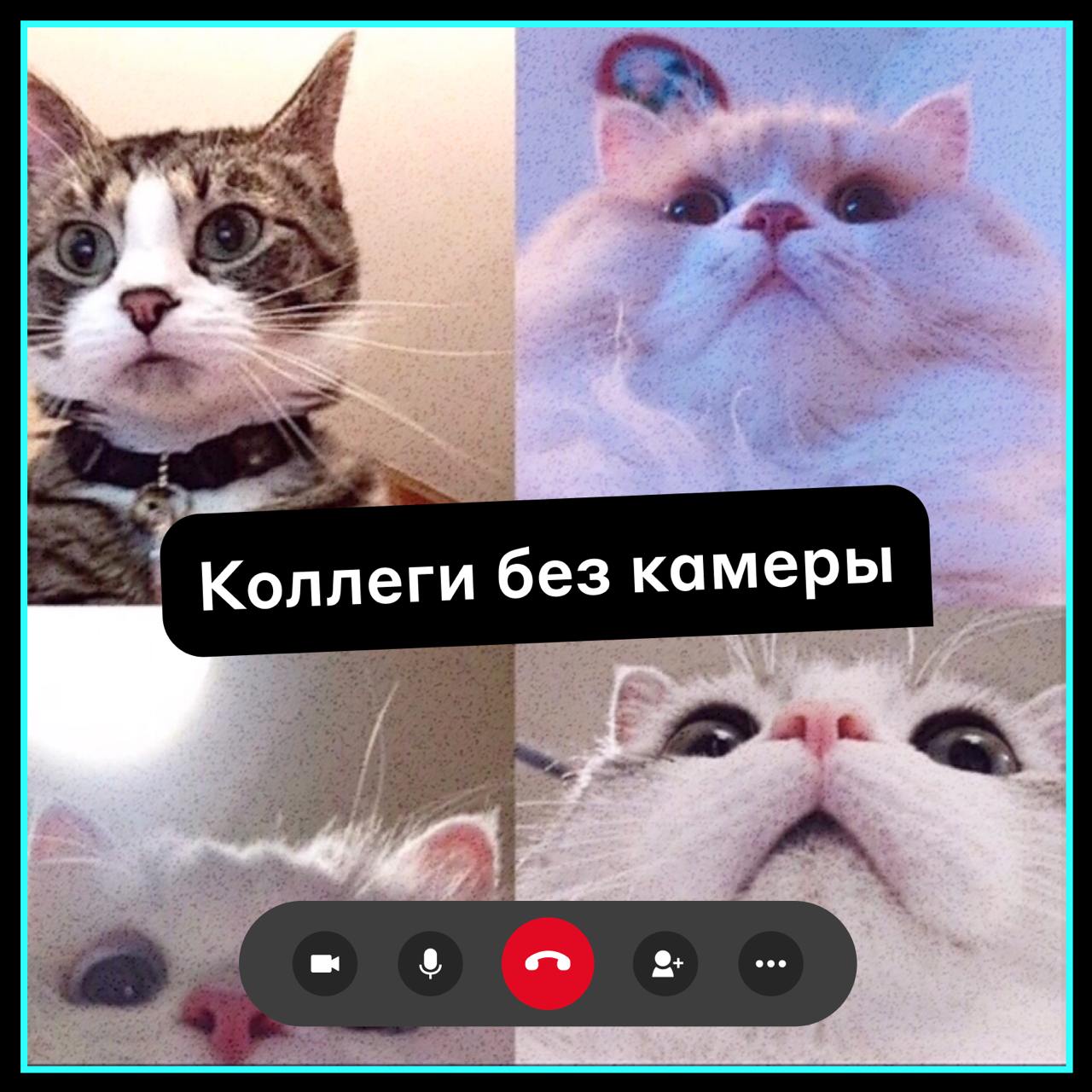 Извините, сегодня без камеры 😎
Предположили, чем занимаются коллеги, когда подключаются на звонок без видео.
🌭 — если узнали себя
#фан
@alfadigital\jobs | Сетка — социальная сеть от hh.ru