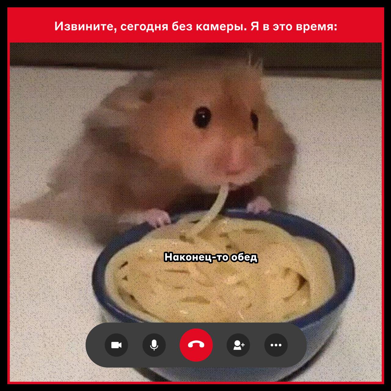 Извините, сегодня без камеры 😎
Предположили, чем занимаются коллеги, когда подключаются на звонок без видео.
🌭 — если узнали себя
#фан
@alfadigital\jobs | Сетка — социальная сеть от hh.ru
