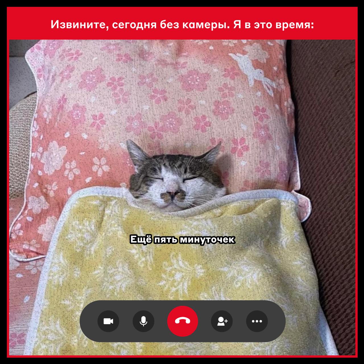 Извините, сегодня без камеры 😎
Предположили, чем занимаются коллеги, когда подключаются на звонок без видео.
🌭 — если узнали себя
#фан
@alfadigital\jobs | Сетка — социальная сеть от hh.ru