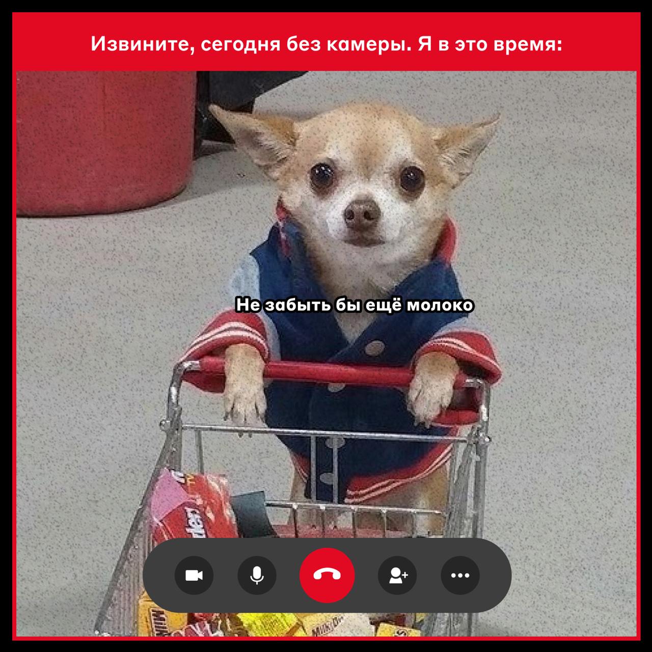 Извините, сегодня без камеры 😎
Предположили, чем занимаются коллеги, когда подключаются на звонок без видео.
🌭 — если узнали себя
#фан
@alfadigital\jobs | Сетка — социальная сеть от hh.ru