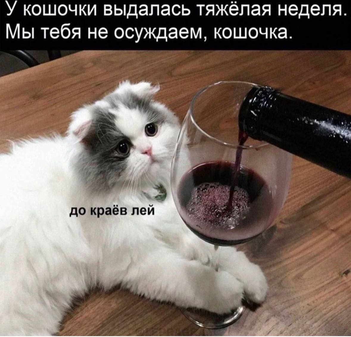 Сегодня пятница, а это значит пора обмениваться мемами! На прошлой неделе был самый популярный мема от Марии и Анастасии они👆
Спасибо за активность!)
Публикуй мемы в комментариях и голосуй за другие л... | Сетка — социальная сеть от hh.ru