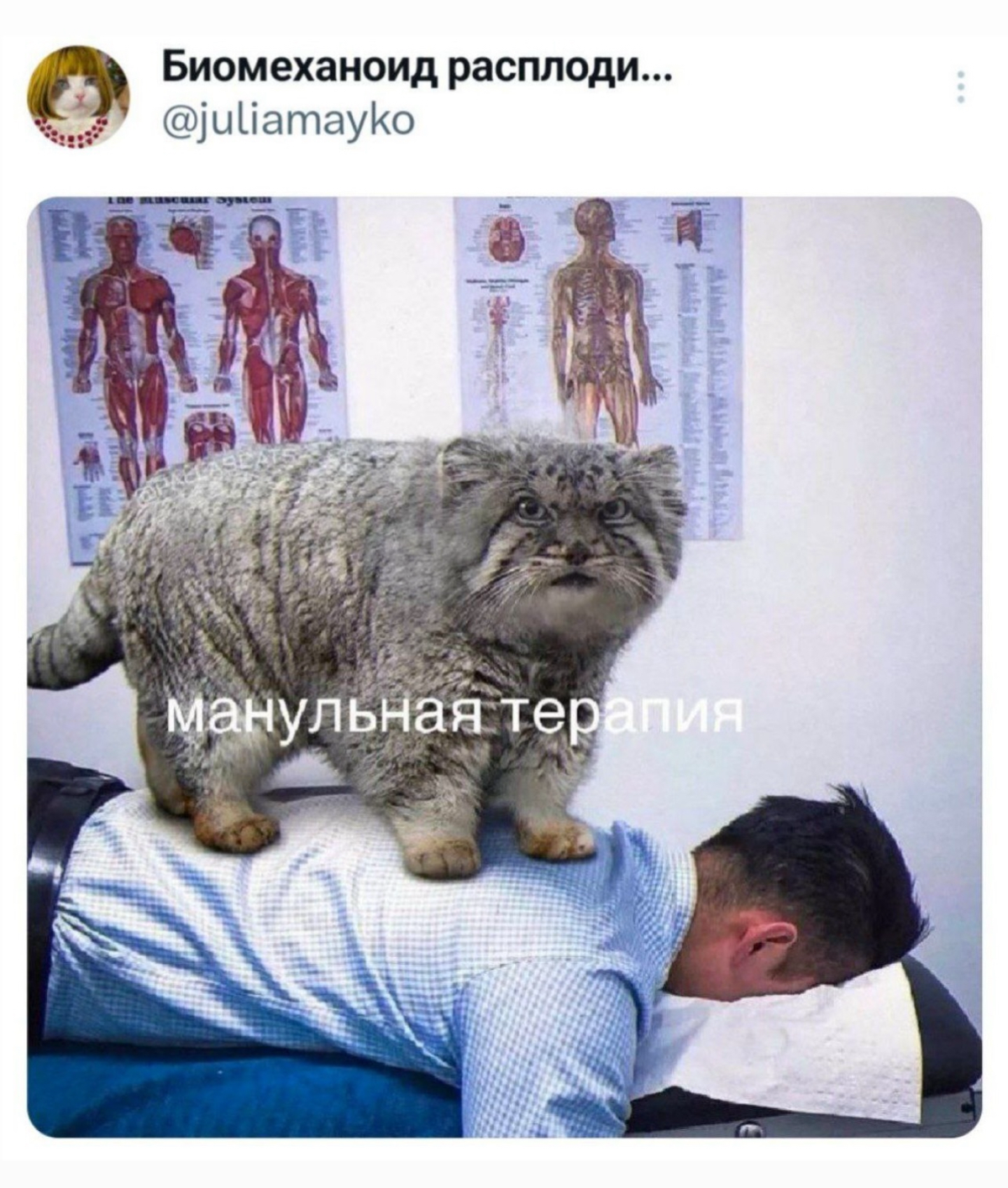 А у нас в канале мемуальная терапия, присоединяйтесь | Сетка — социальная сеть от hh.ru