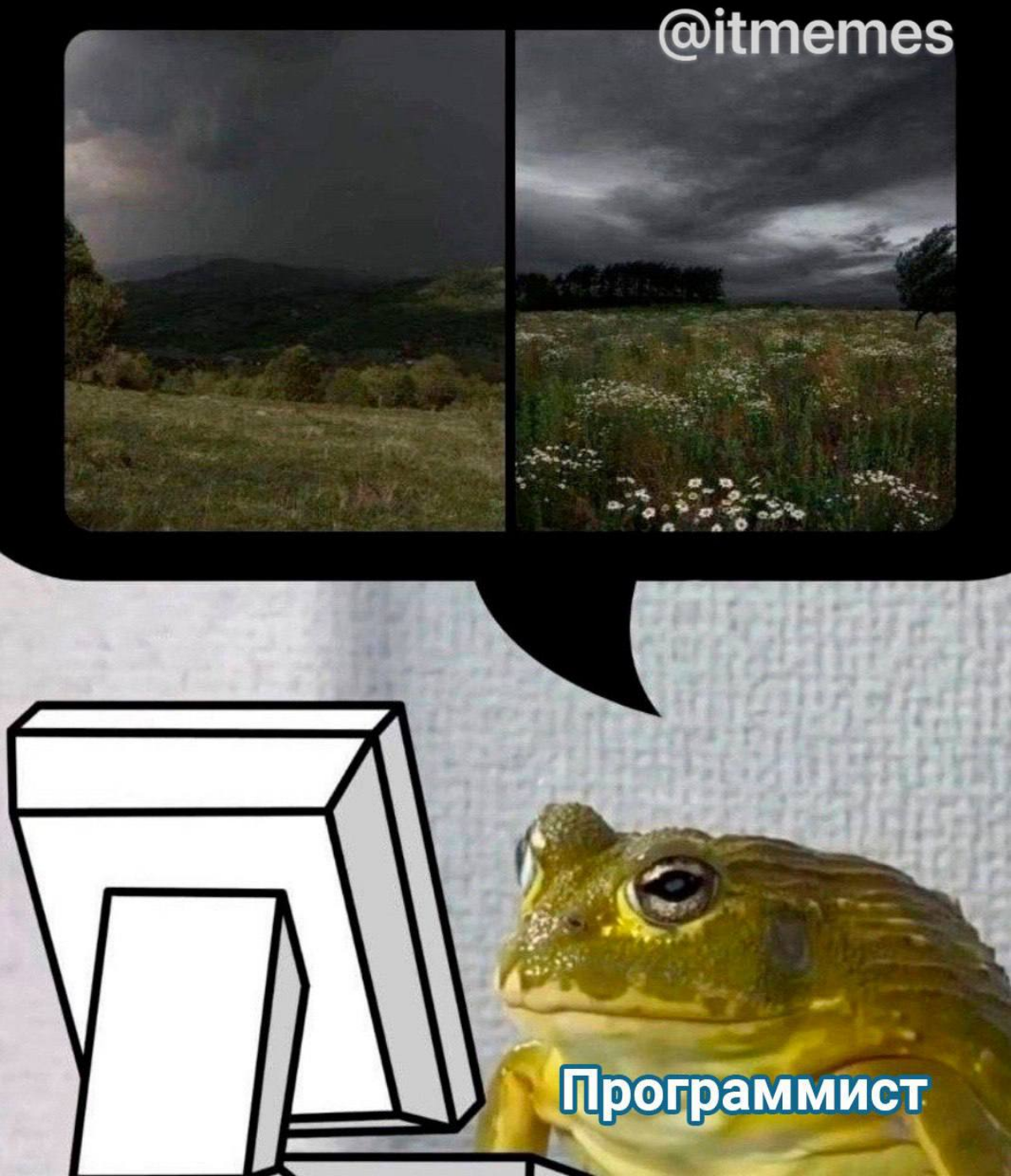 Не только у программистов такая погода любимая😁 | Сетка — социальная сеть от hh.ru