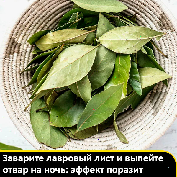 Лавровый лист | Сетка — социальная сеть от hh.ru
