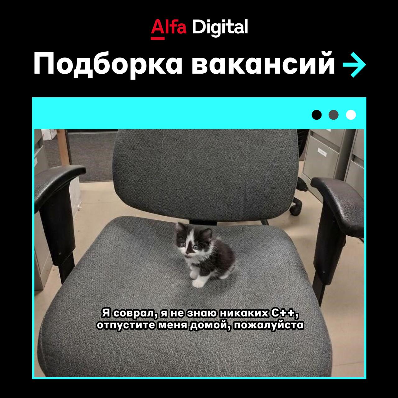 Новая подборка вакансий 🔊
📎 Android-разработчик — откликнуться
📎 Solution-архитектор — откликнуться
📎 Product Owner — откликнуться
📎 Дизайнер цифровых продуктов — откликнуться
📎 Главный системный анал... | Сетка — социальная сеть от hh.ru