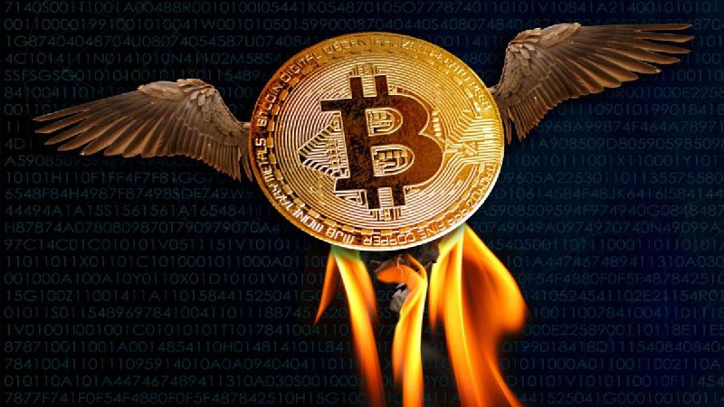 Канцлера ФРГ Олафа Шольца призвали прекратить продавать биткоины | Сетка — социальная сеть от hh.ru