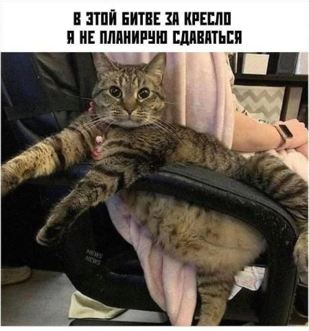 Было? | Сетка — социальная сеть от hh.ru