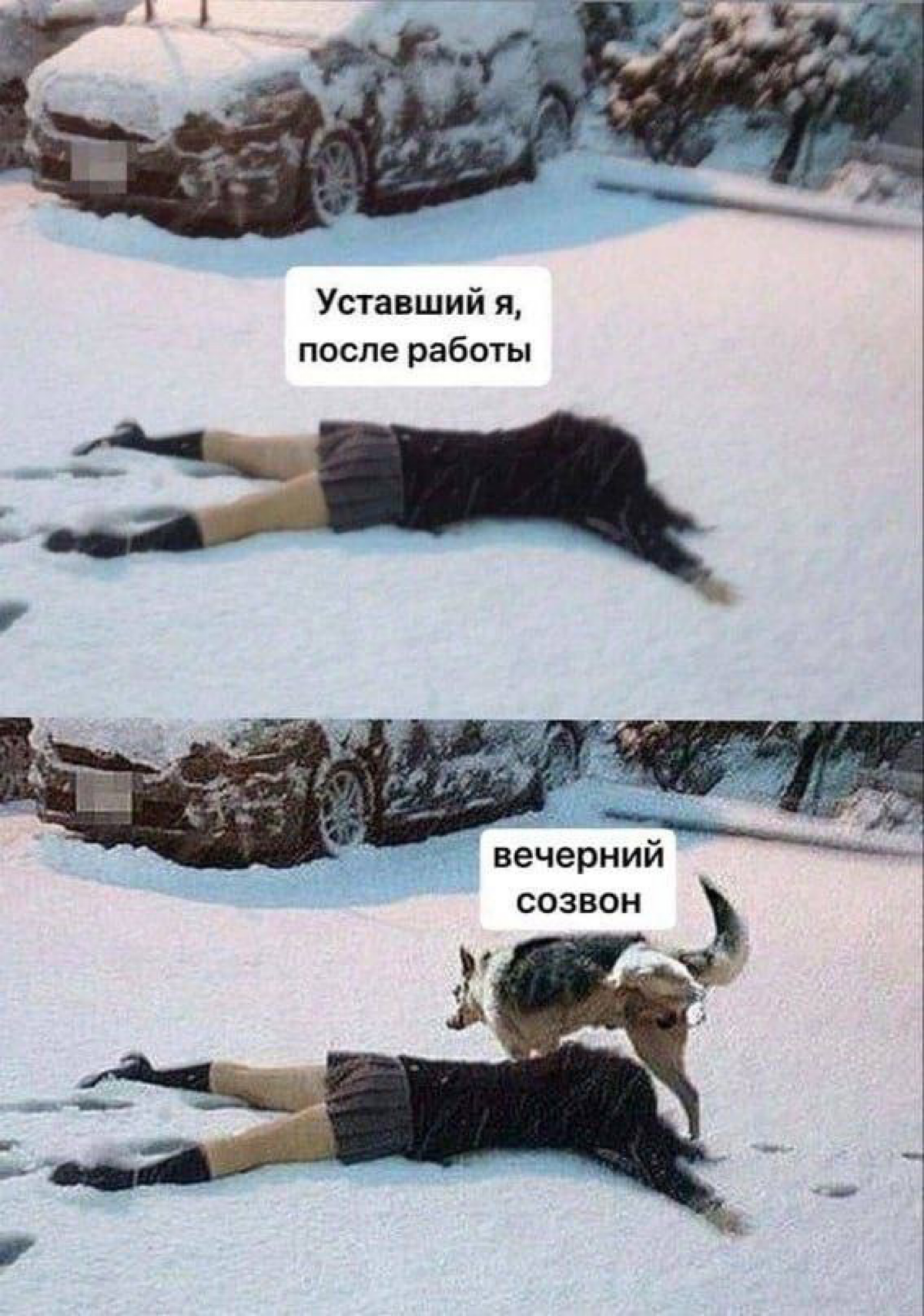 Сетка — социальная сеть от hh.ru