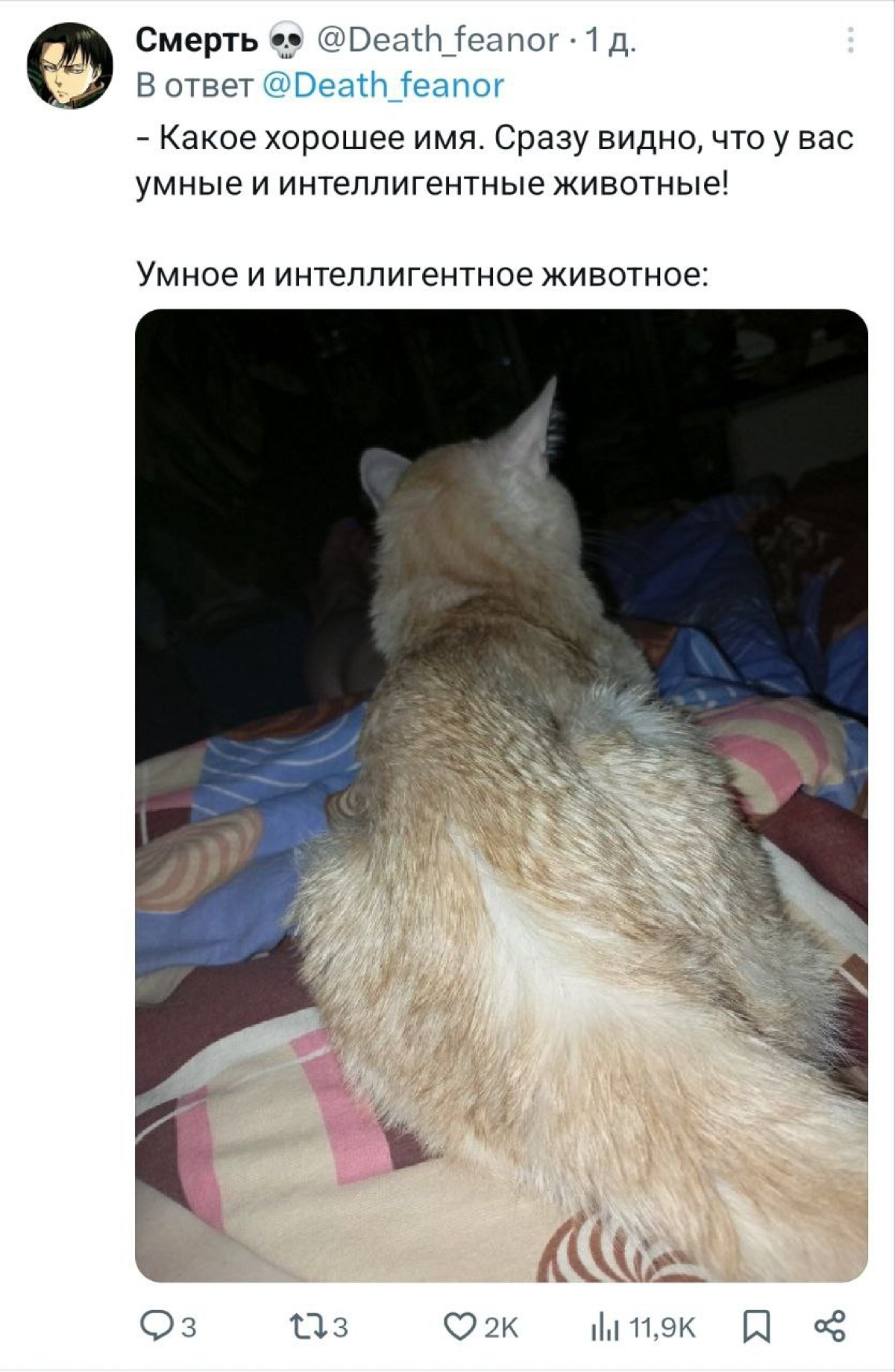 Пожалуй, самая милая реклама Алисы от Яндекса. Как можно отказаться от устройства, которое хвалит твоего кота🤩 | Сетка — социальная сеть от hh.ru