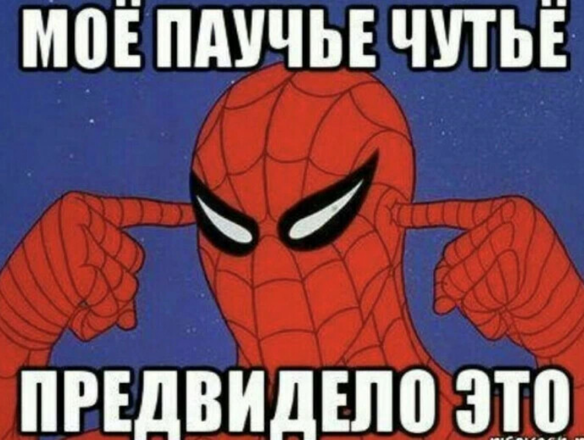 Паучье чутье | Сетка — социальная сеть от hh.ru