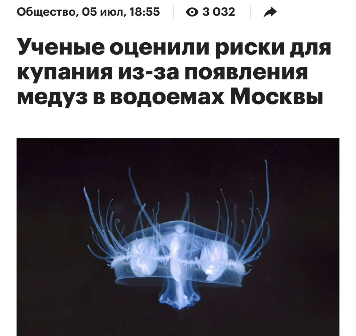 В Москве появятся медузы. Причина — жара, вода может прогреться до +26 градусов.
Полипы и так живут в московских водоемах, но из-за жары они поднимутся со дна | Сетка — социальная сеть от hh.ru