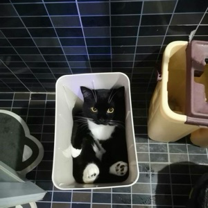 Анатолий Анатолий | Сетка — социальная сеть от hh.ru