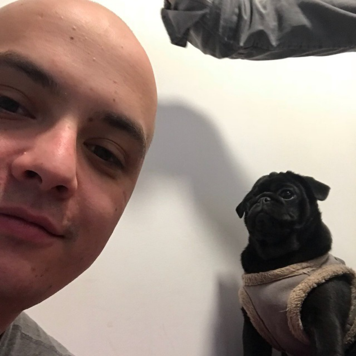 Севан Авалян | Сетка — социальная сеть от hh.ru