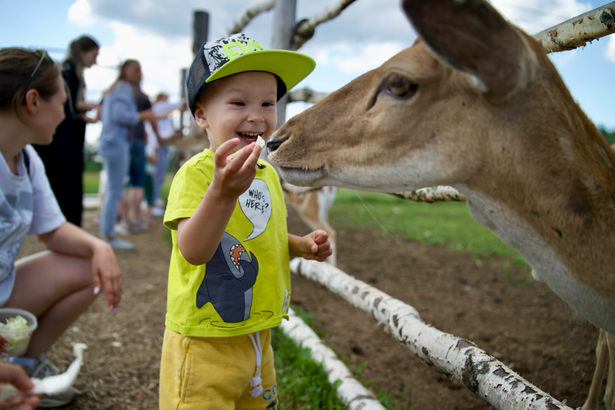 📍 Куда сходить с детьми в Подмосковье. Экоферма «Диво Парк» | Сетка — социальная сеть от hh.ru