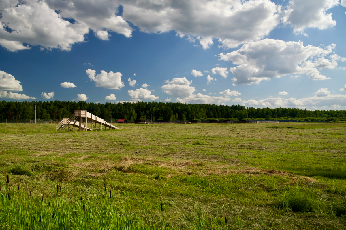 📍 Куда сходить с детьми в Подмосковье. Экоферма «Диво Парк» | Сетка — социальная сеть от hh.ru
