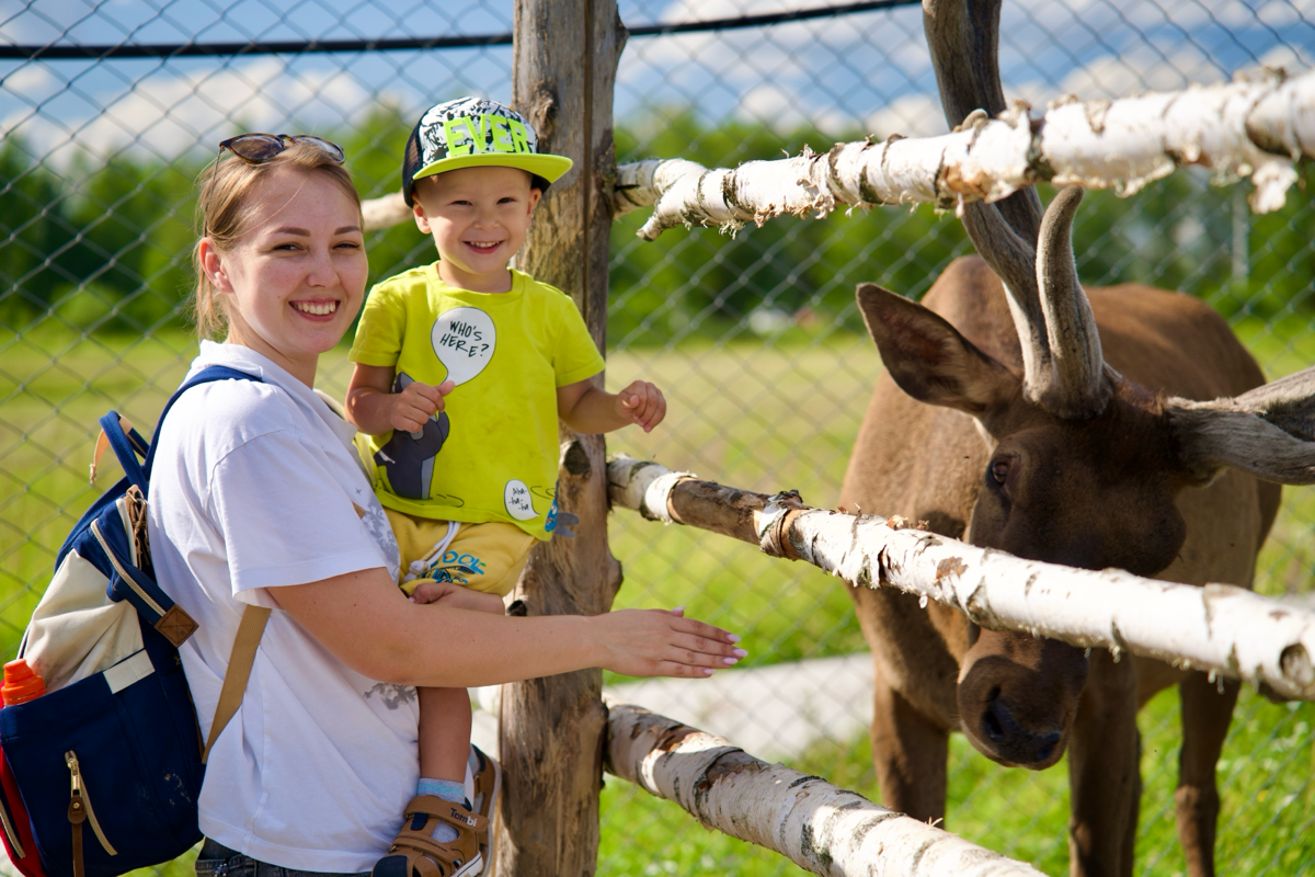 📍 Куда сходить с детьми в Подмосковье. Экоферма «Диво Парк» | Сетка — социальная сеть от hh.ru