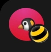 comment image