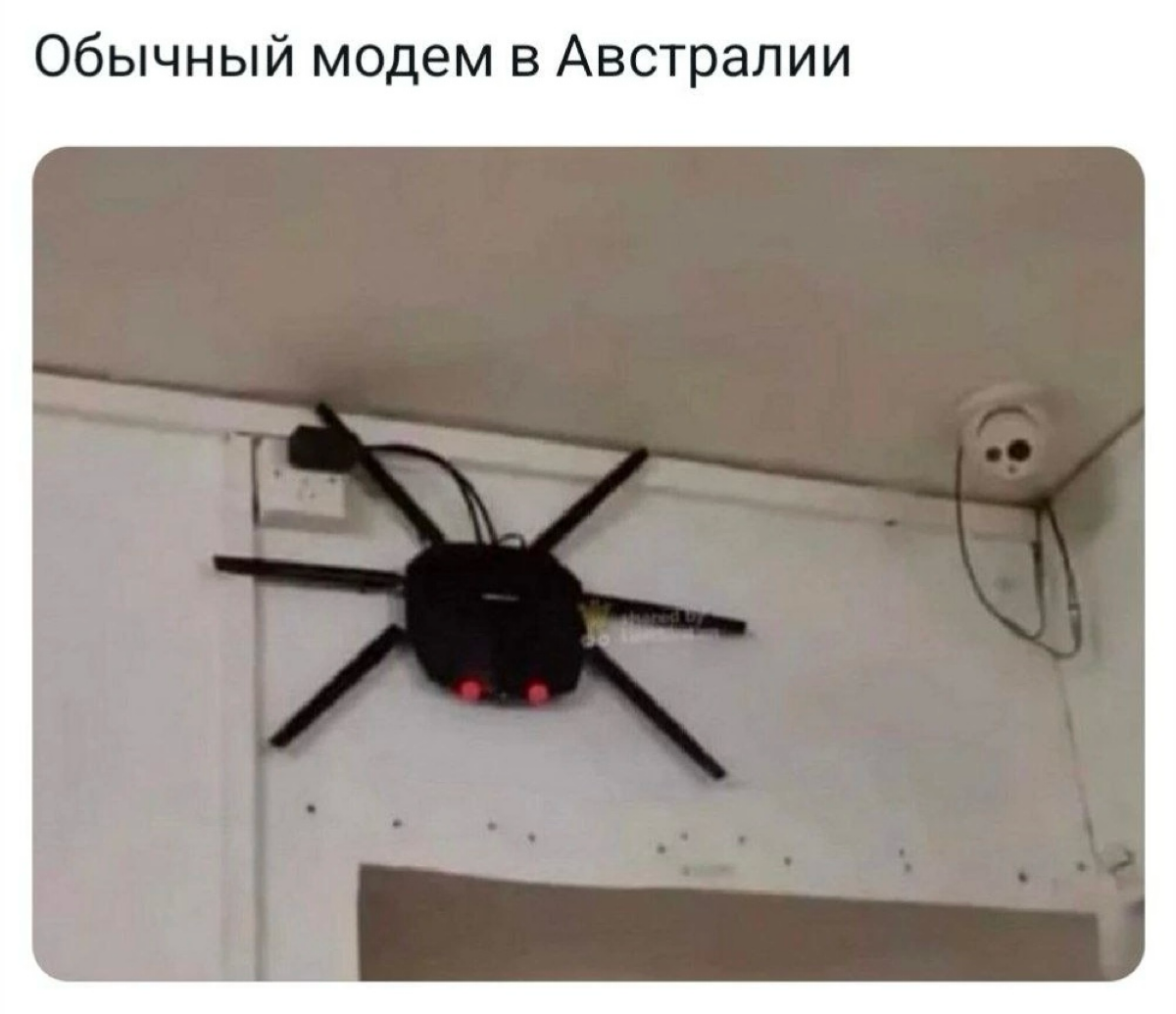 Сфоткайте вашего, покажите в комментах 🤭
У него есть имя? | Сетка — социальная сеть от hh.ru
