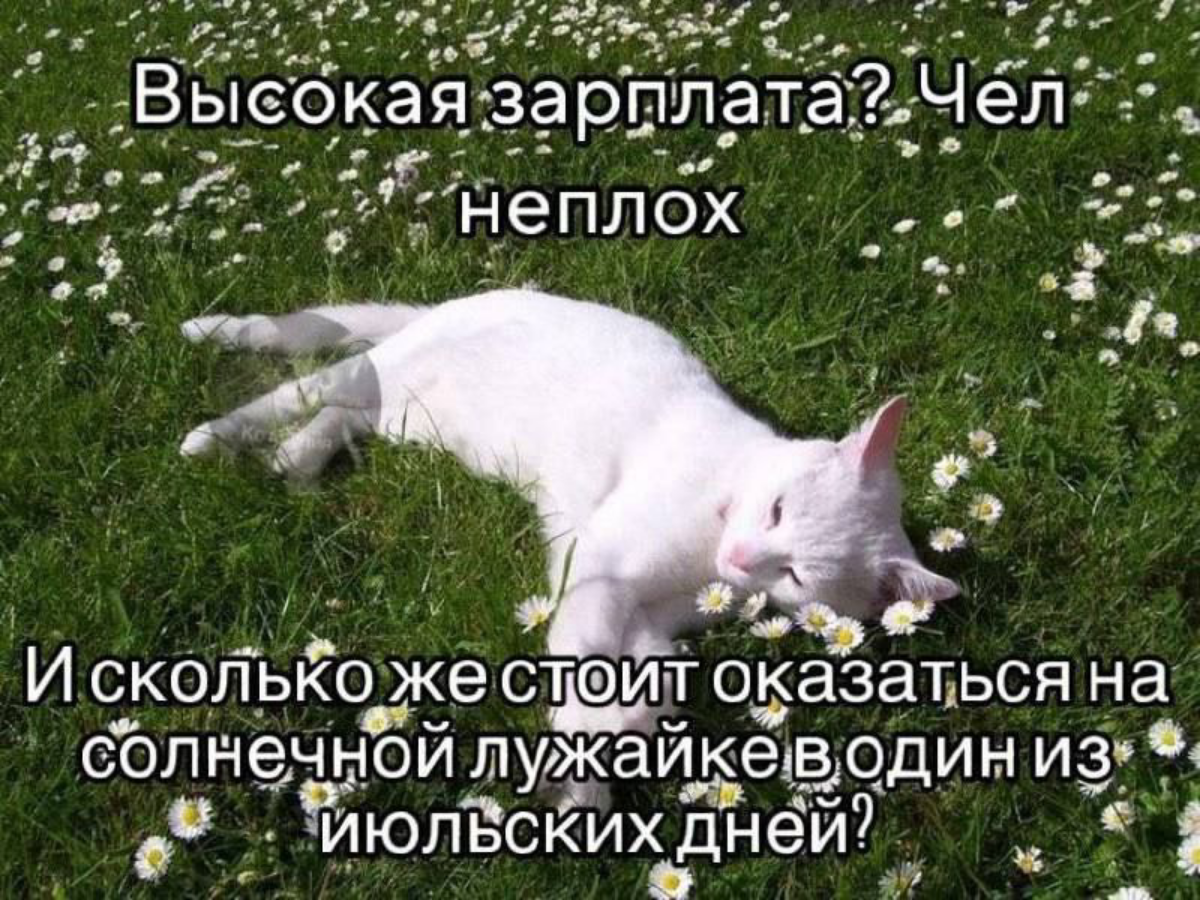 Вайб выходного дня. Всем хорошего отдыха🌞 | Сетка — социальная сеть от hh.ru