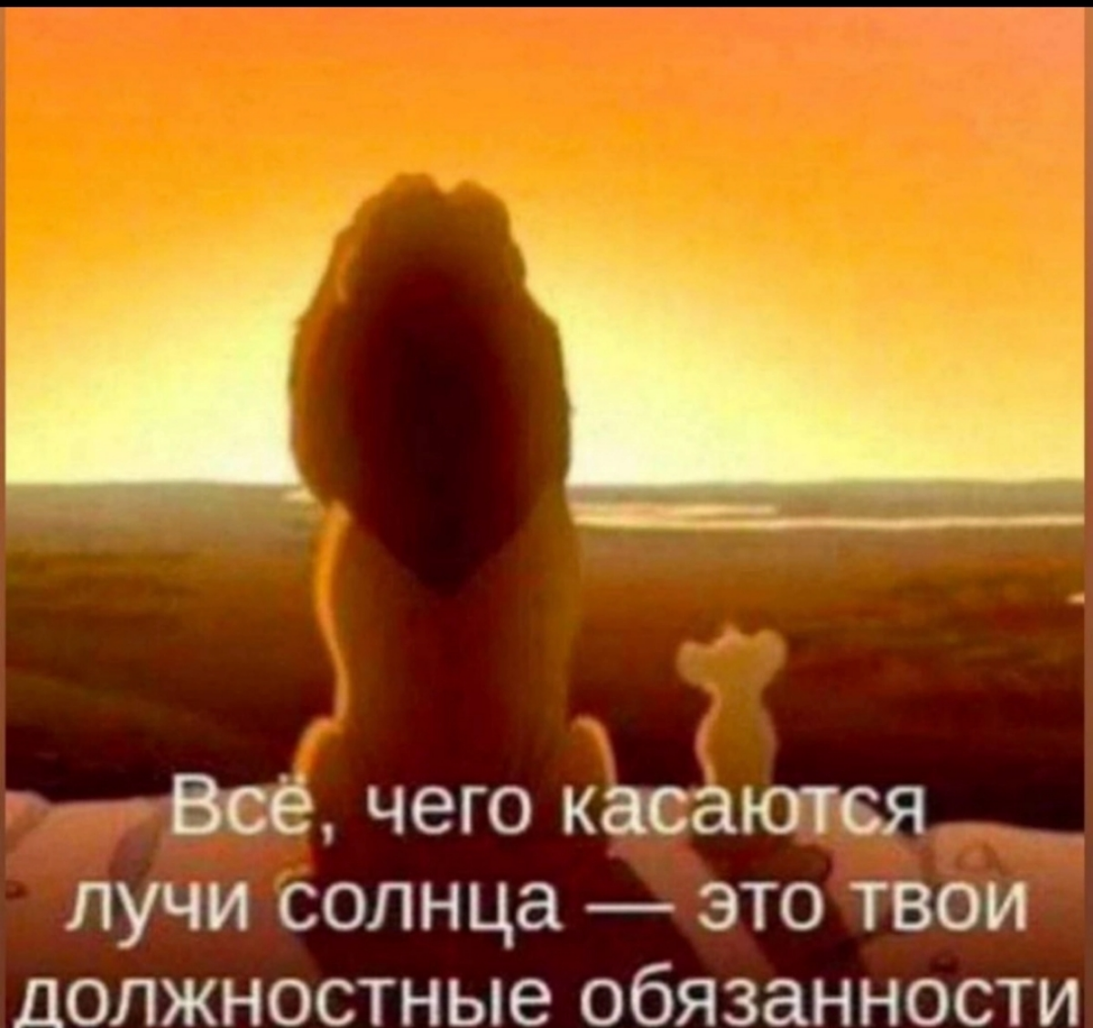 Когда не читал трудовой договор 🥹 | Сетка — социальная сеть от hh.ru