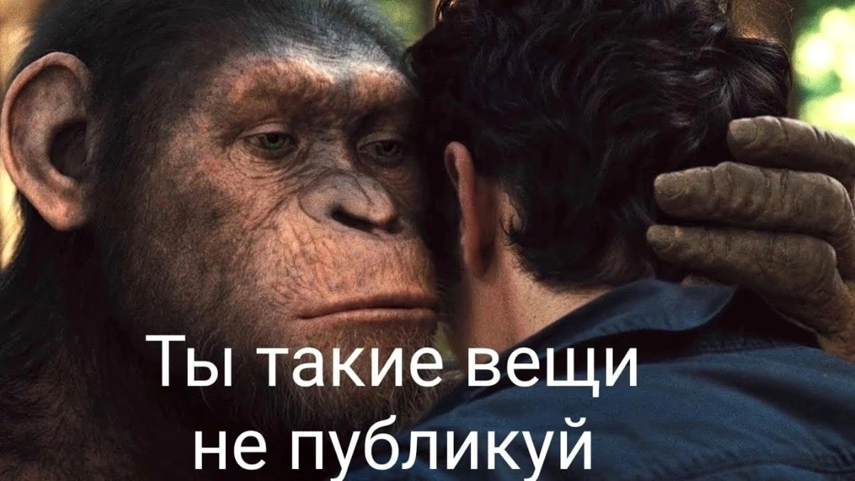 А я и не публикую… | Сетка — социальная сеть от hh.ru
